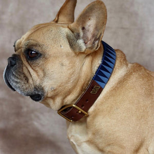 Collares Para Perros Personalizados