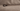 #color_chocolate-champagne