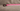 #color_pale-pink-fucsia